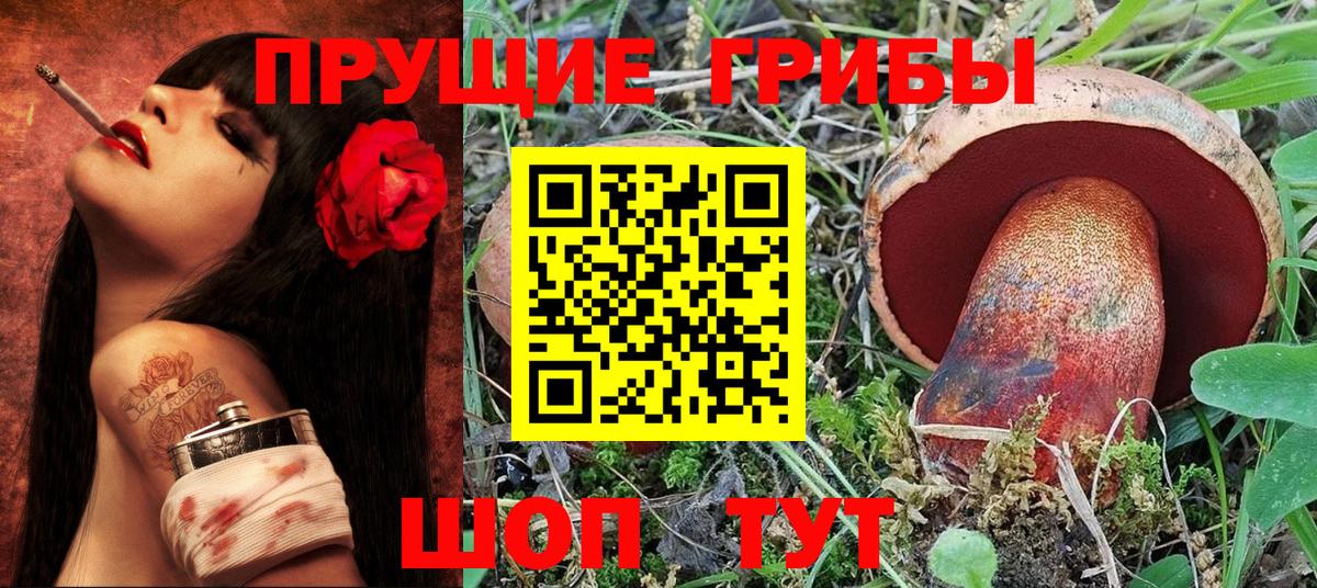 Псилоцибиновые грибы GOLDEN TEACHER  Псилоцибиновые грибы мухоморы  Энгельс 